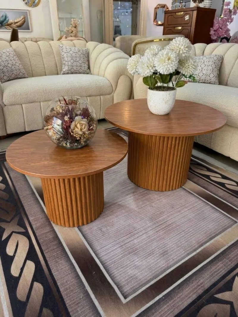 TABLE BASSE (2  pieces )