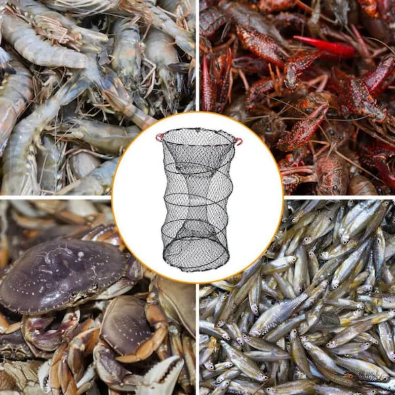 FIlet de pêshe  شبكة صيد 